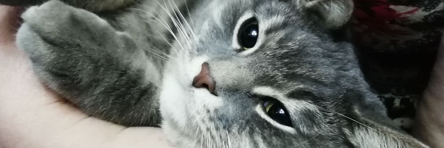 BettyShort1926's profile banner image
