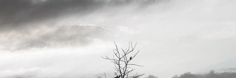 Gundercuss's profile banner image