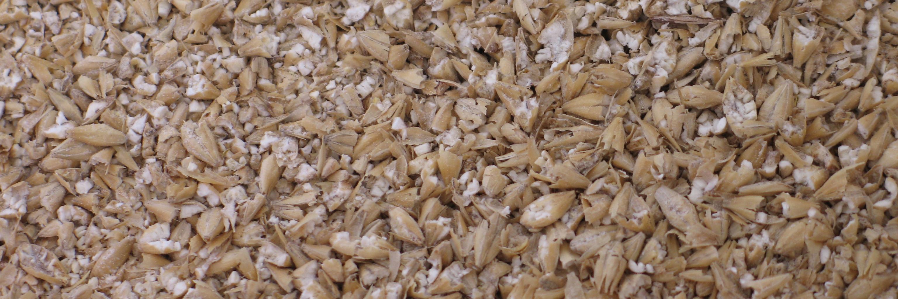 Steven Mackenzie banner