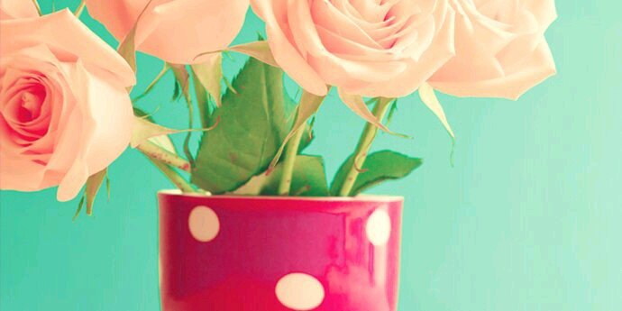 pratiwiandayani's profile banner image