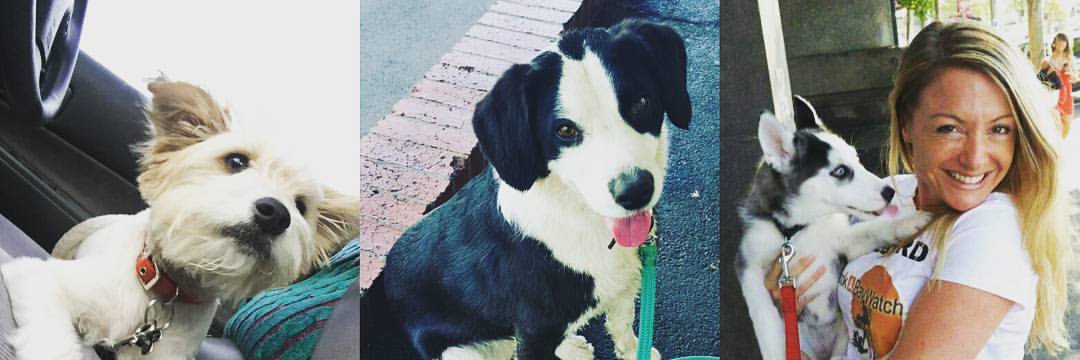 Alison Loves YOGA banner