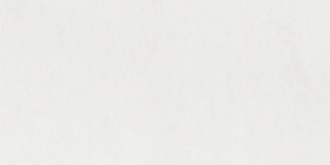hayleyphogdr's profile banner image
