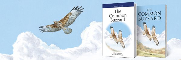 SeanBuzza Profile Banner