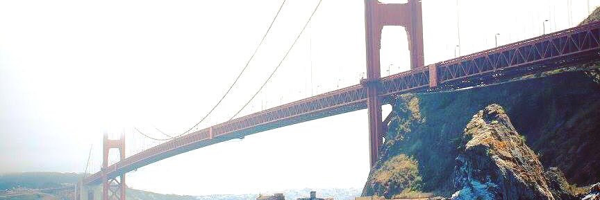 Adam Collison banner