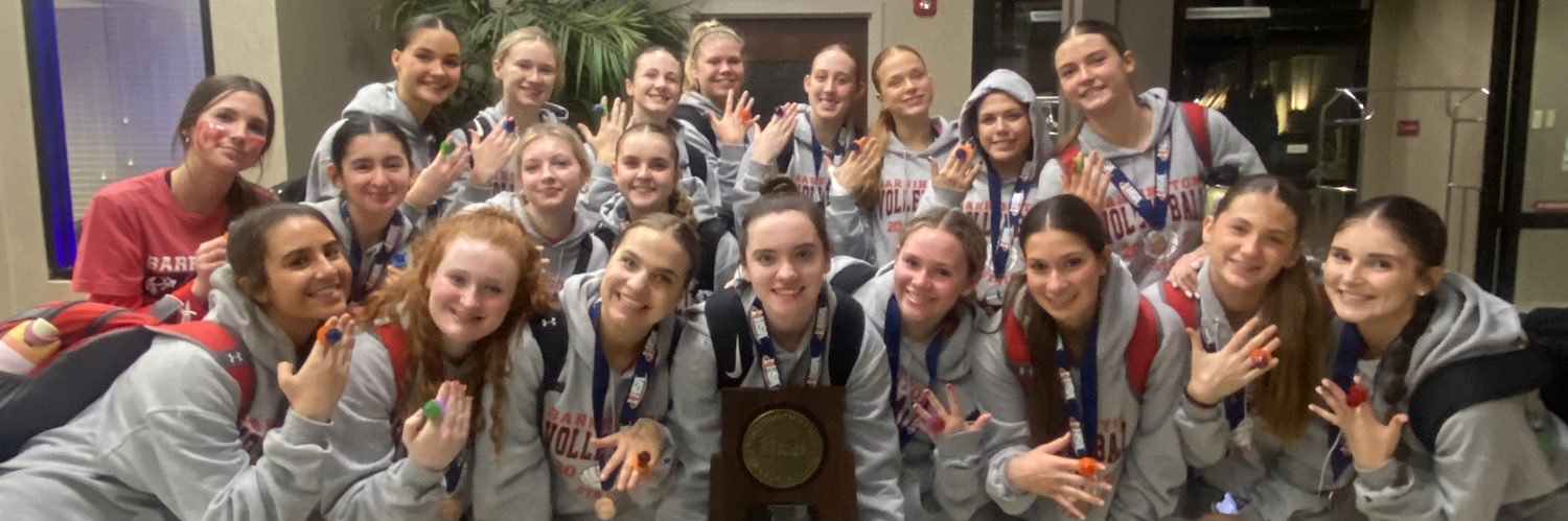 BHS Fillies VB banner