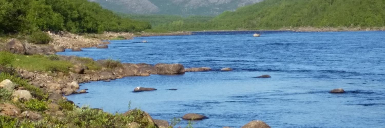 jtleinonen's profile banner image