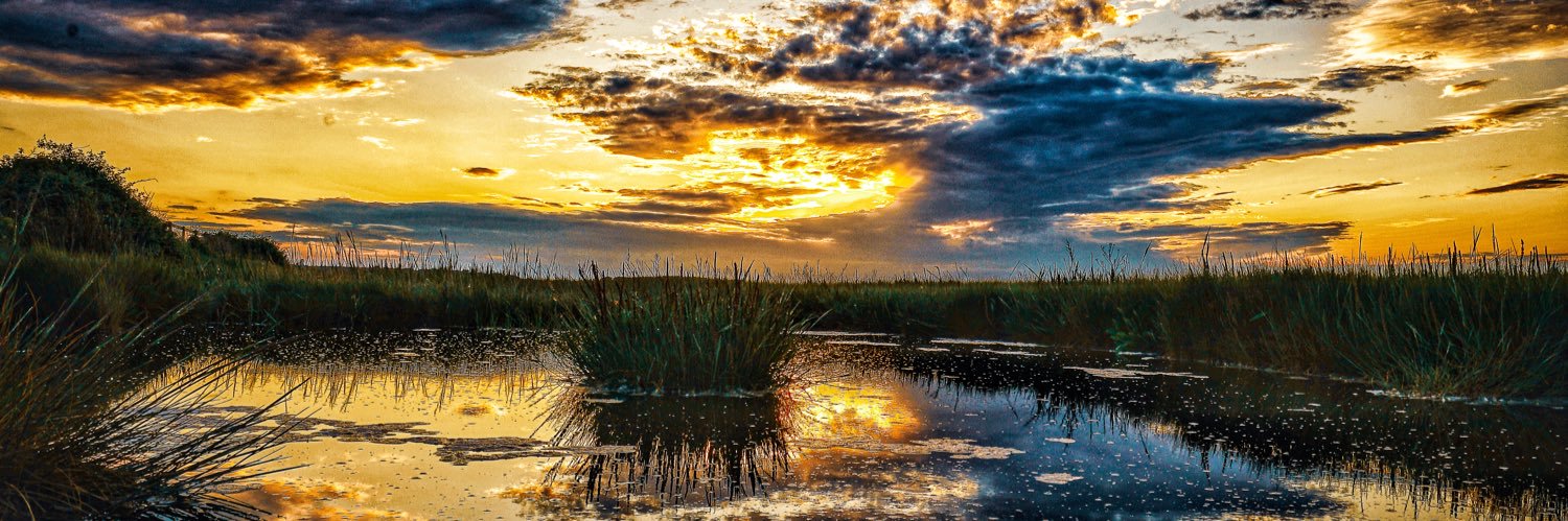 Tony Pick Photo banner