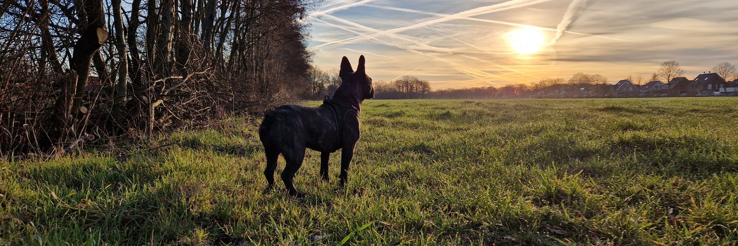 Julian Schulze banner