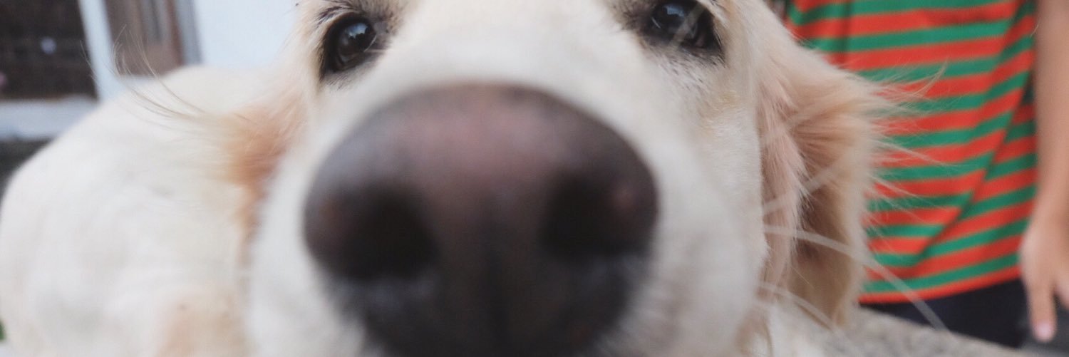 lovelymhew's profile banner image