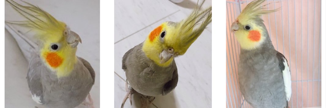 mmpeeeee's profile banner image