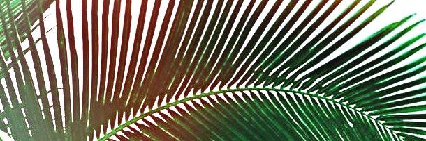 ea_norton's profile banner image