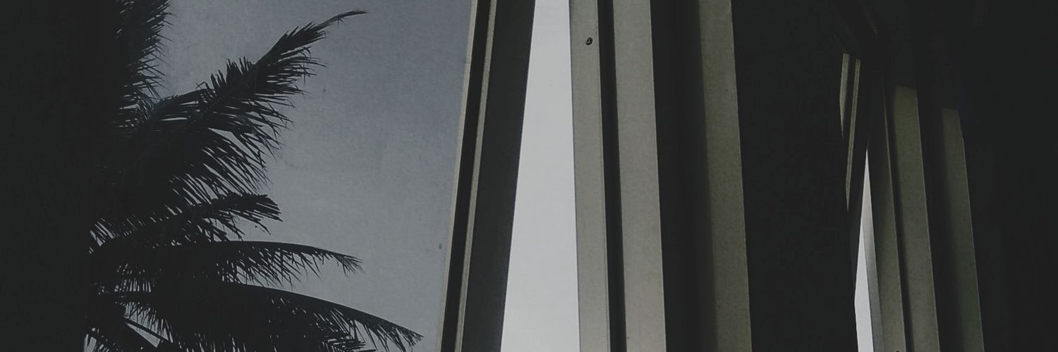 ann banner