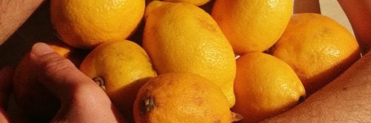 🍋 banner