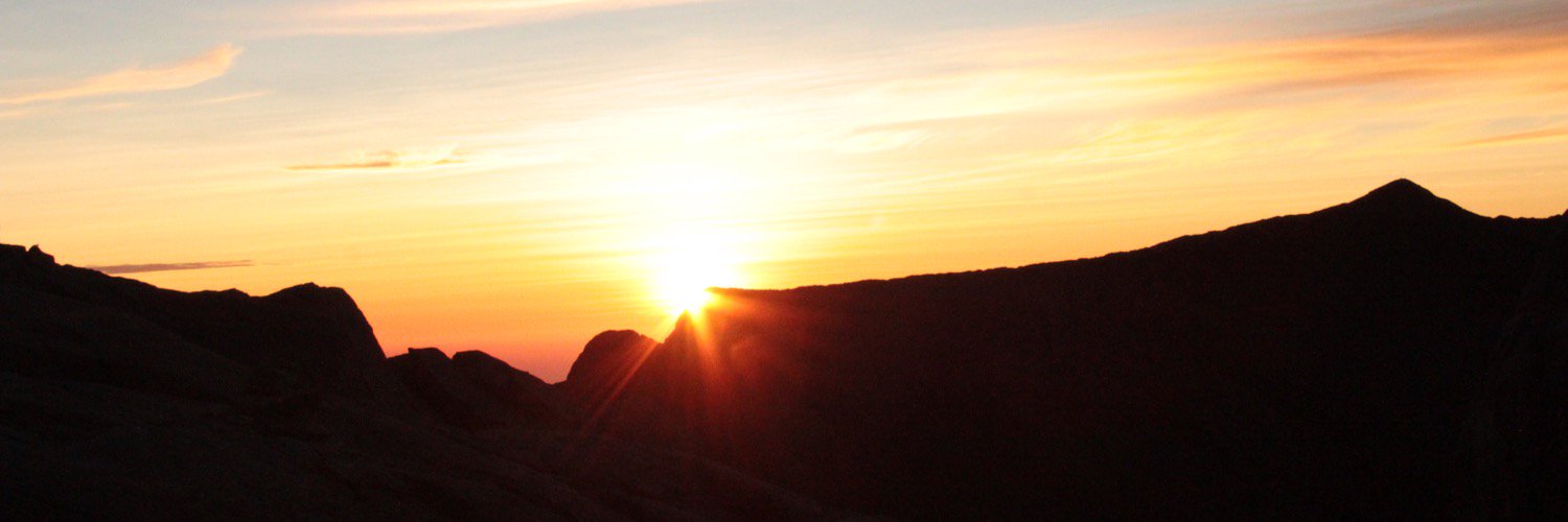 Bernadette Dwyer banner