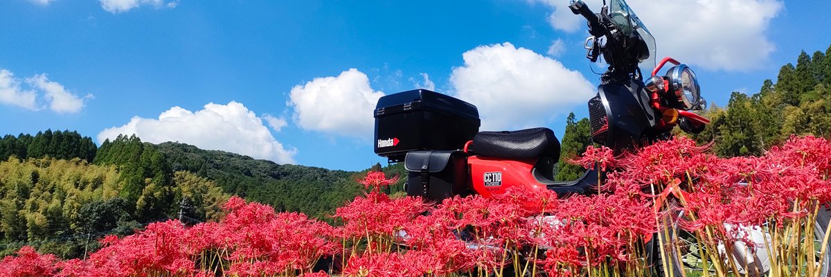 maru_yuu's profile banner image
