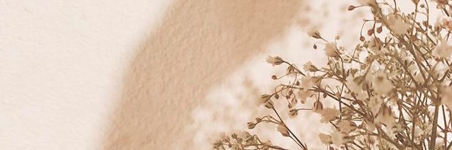 philocalypique's profile banner image
