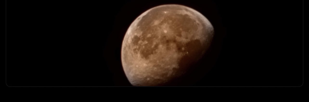 danimarie181's profile banner image