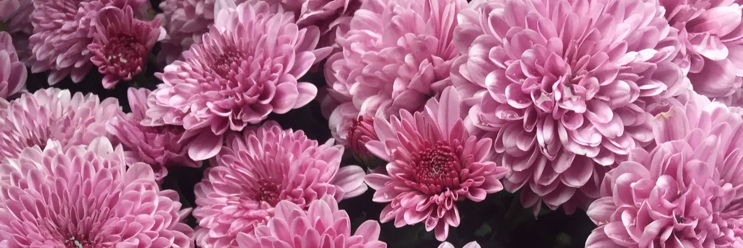 MrsMastenWLE's profile banner image