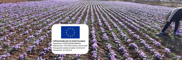 DOP Azafrán de La Mancha banner