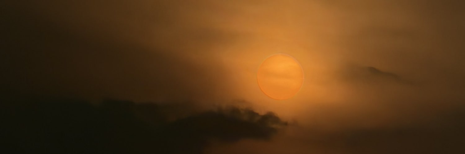 geelobeelo's profile banner image