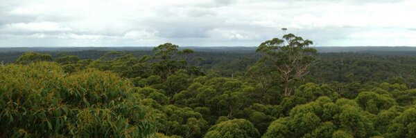 iolambda1 Profile Banner