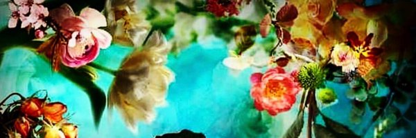 p_bek_bor Profile Banner