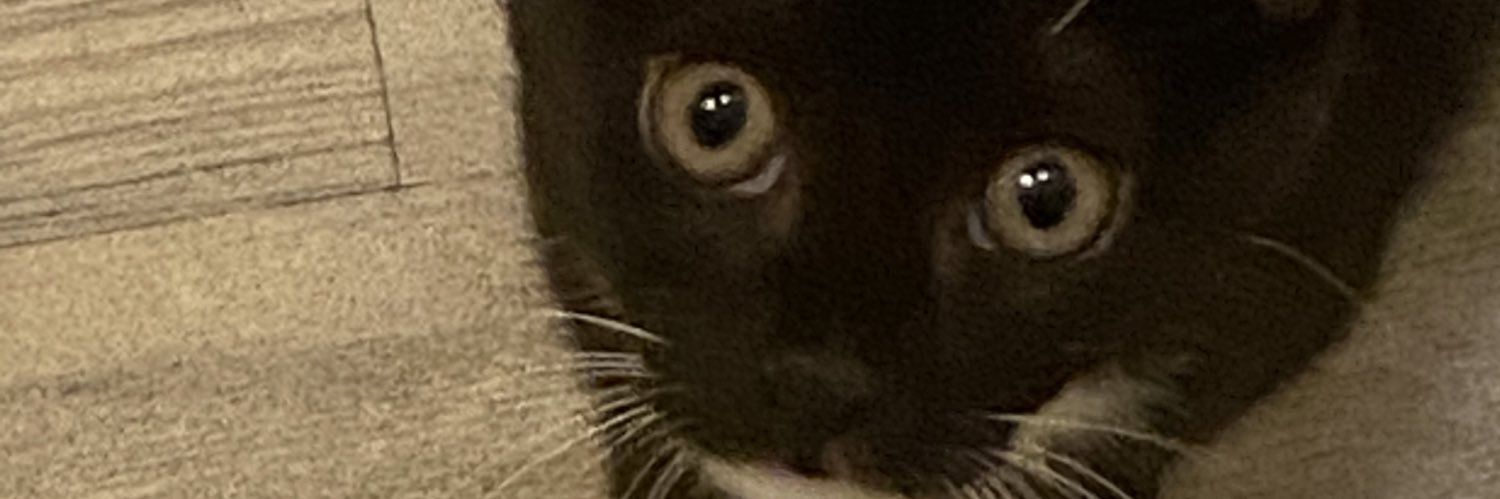 khnark_'s profile banner image