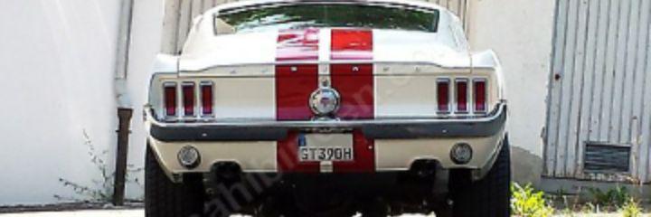 tatar8zz's profile banner image