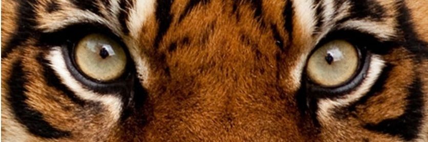 G_arce_z's profile banner image