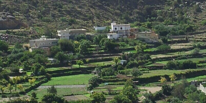 سالم الحسن banner