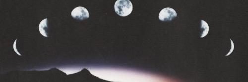 arisbiscuits's profile banner image