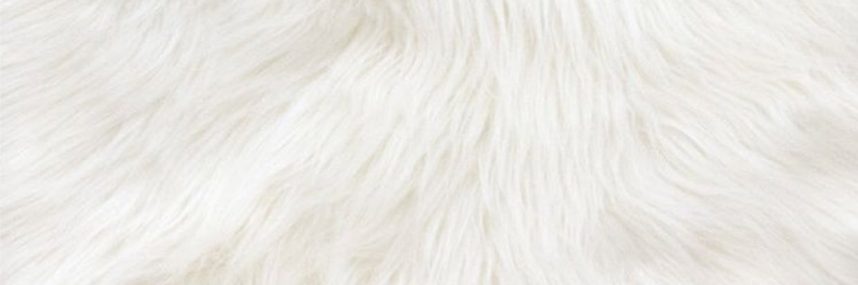 jaidafelix's profile banner image