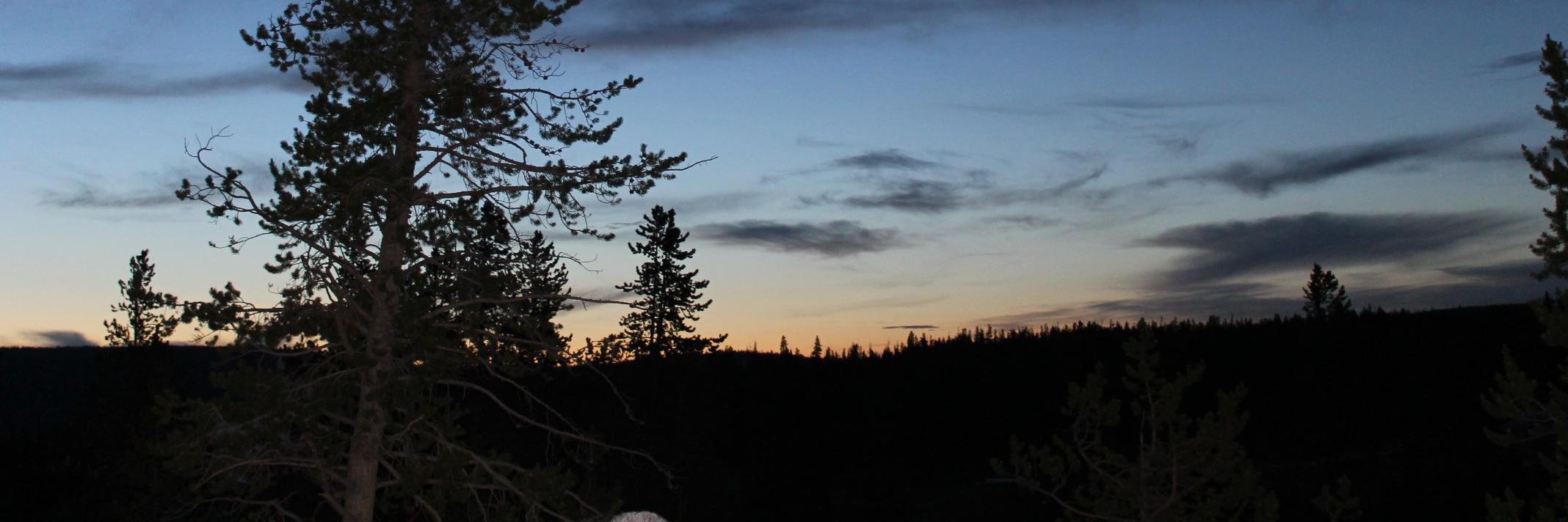 MrsKulpWoodruff's profile banner image