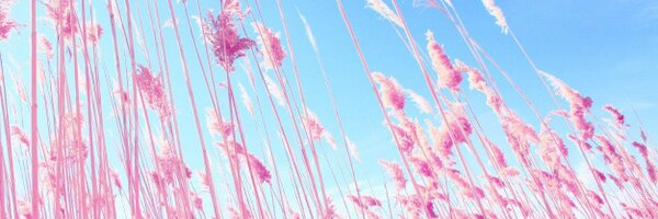 misak1234567's profile banner image