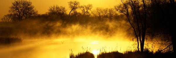 dragonwriterca Profile Banner