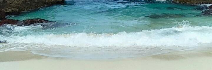 nuynuynur's profile banner image