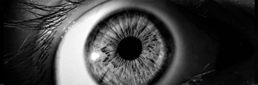 Dr Jennifer Fan Gaskin banner