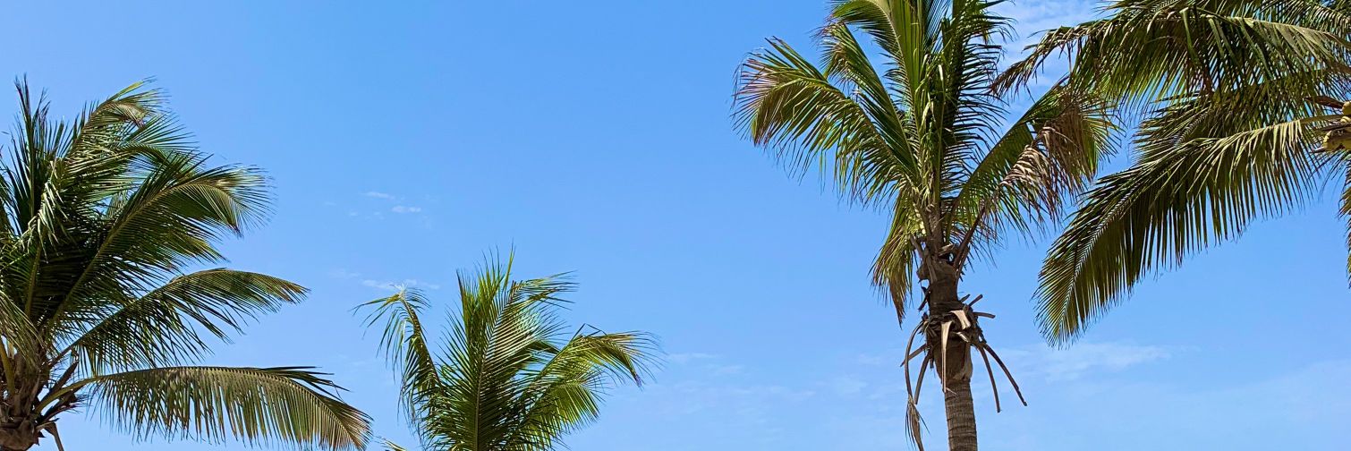 evanzgell's profile banner image