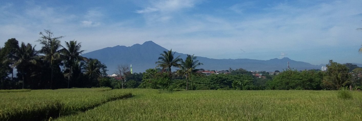 titaniaulia's profile banner image
