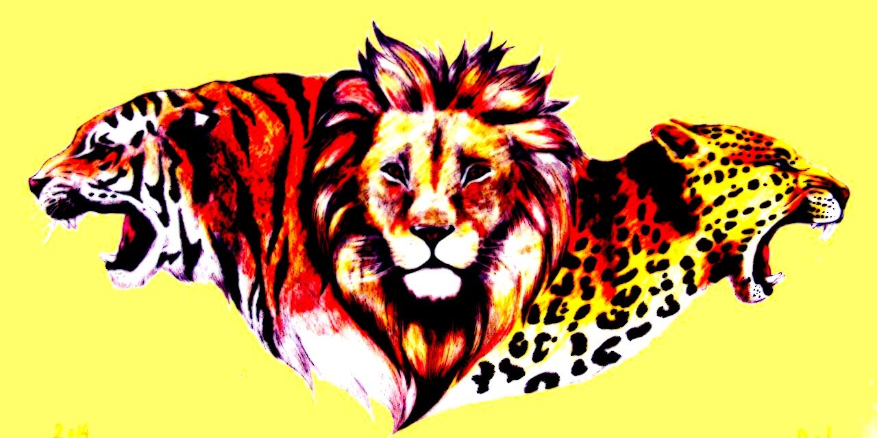 __xmx_'s profile banner image