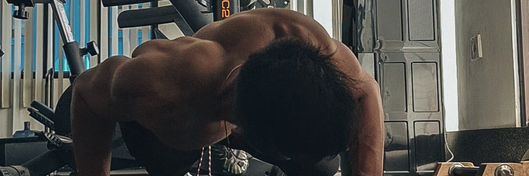 b i s m a banner