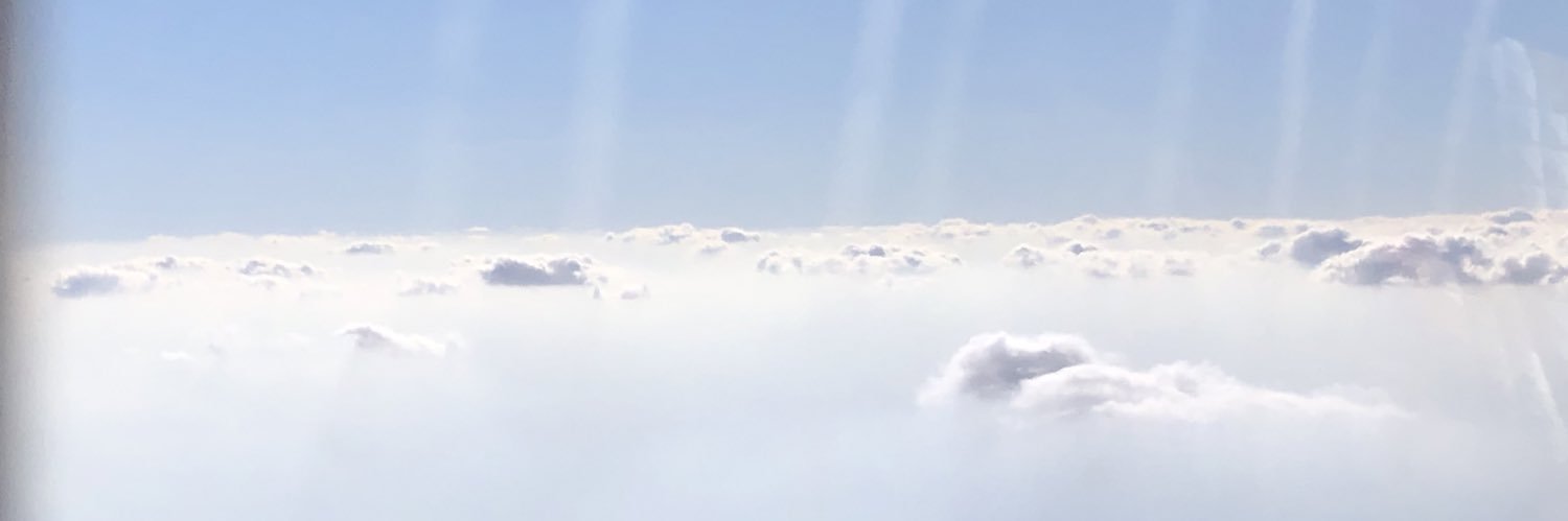 blueberruby's profile banner image