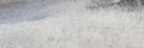 tayroygdr's profile banner image
