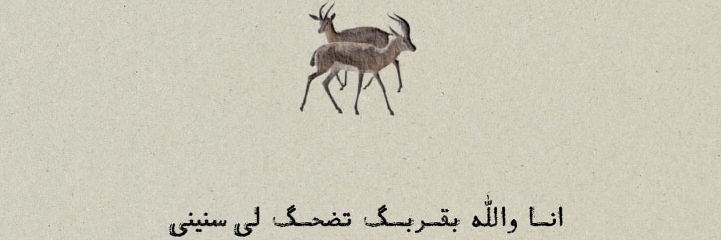 shomro's profile banner image