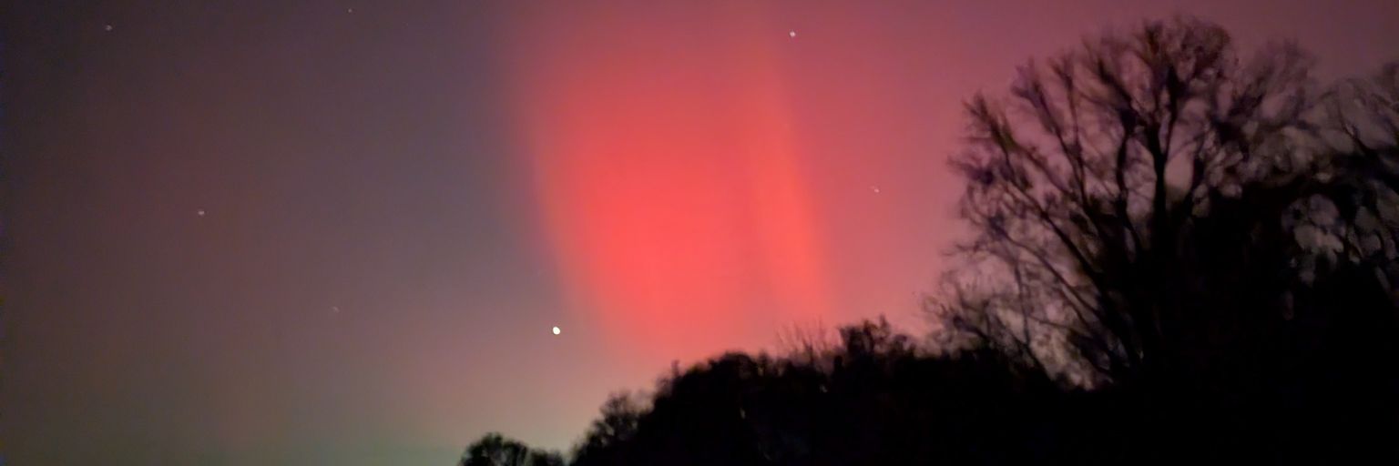 Teeeroy 🦝 🦫 🦦 🦊 🐺 banner