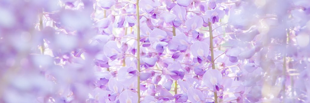46mochi46's profile banner image