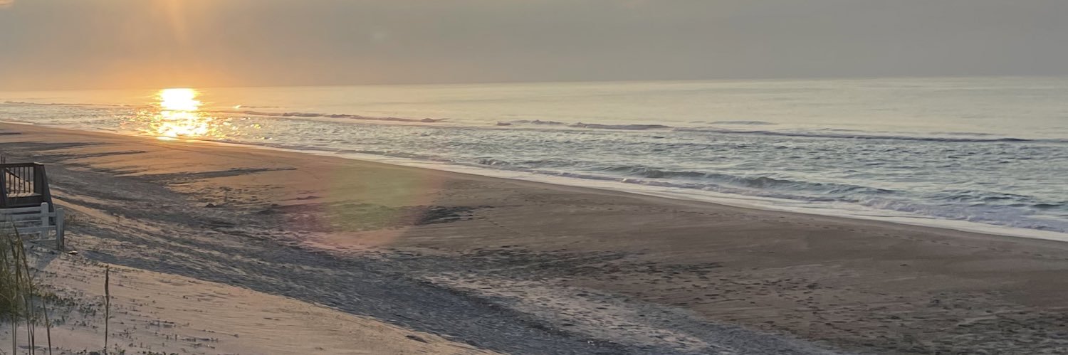 Dawn Nesselroad banner
