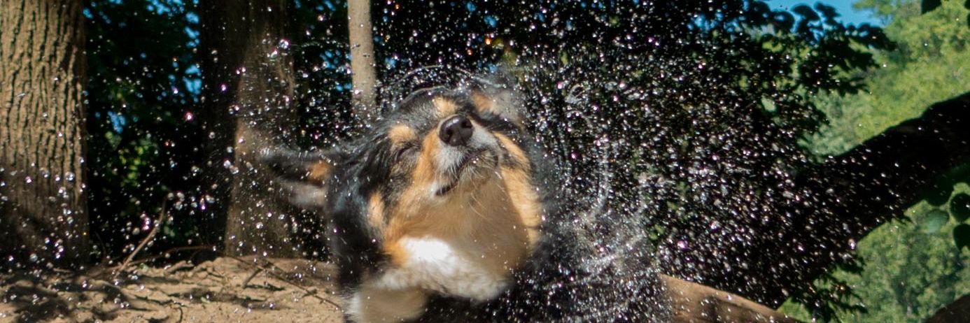 gheebeeghee's profile banner image