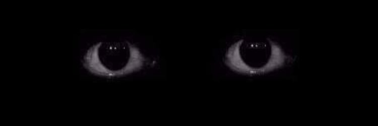 Mamdouh_MOU's profile banner image