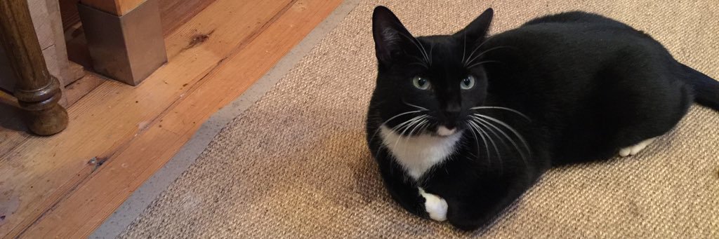 Janie@Crail Pottery banner